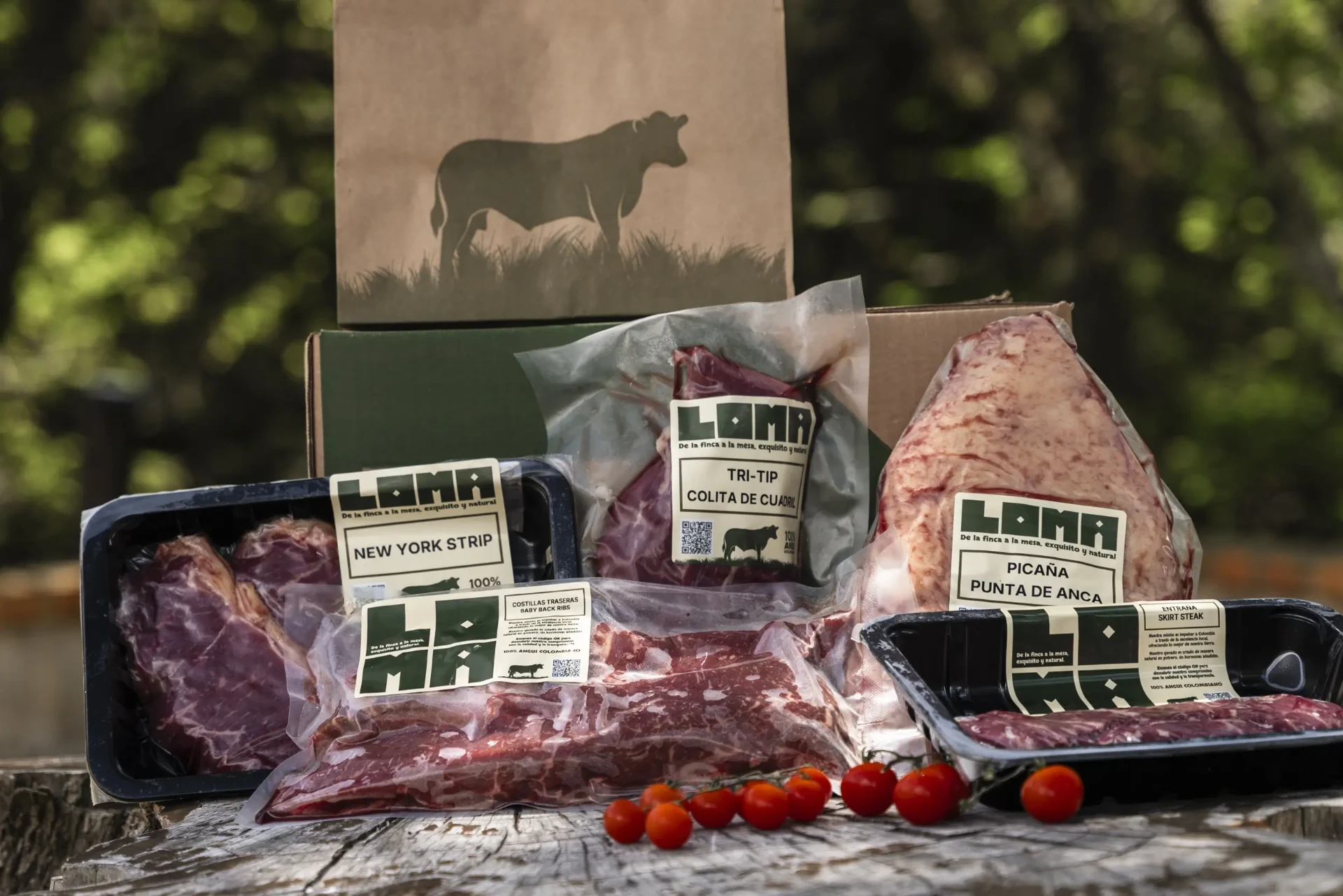 Cortes LOMA para asar empacados al vacío sobre mesa de madera: New York Strip, Tri-Tip, Picaña, Entraña y costillas